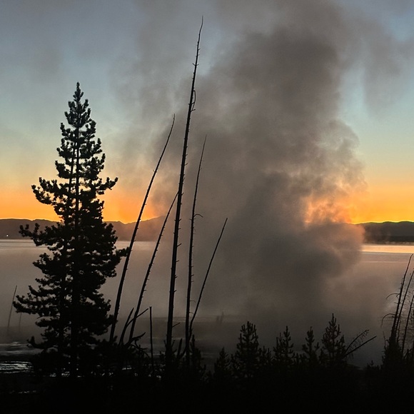 Meet your Posher, Shannon - Picture 7 of 17